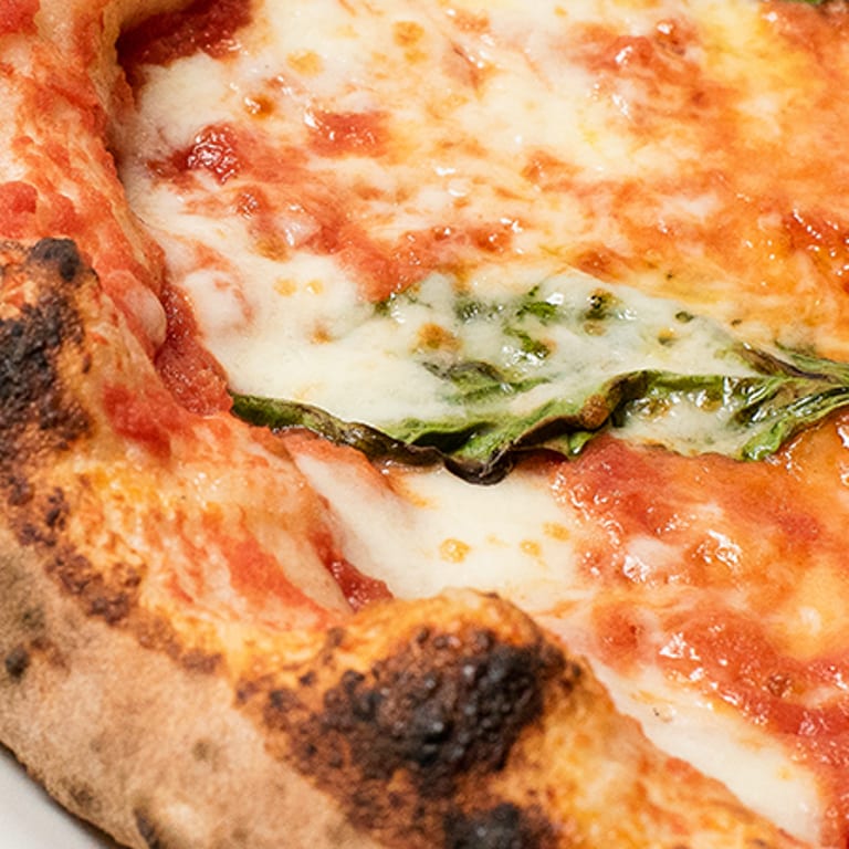 Savor Your Dinner Experience